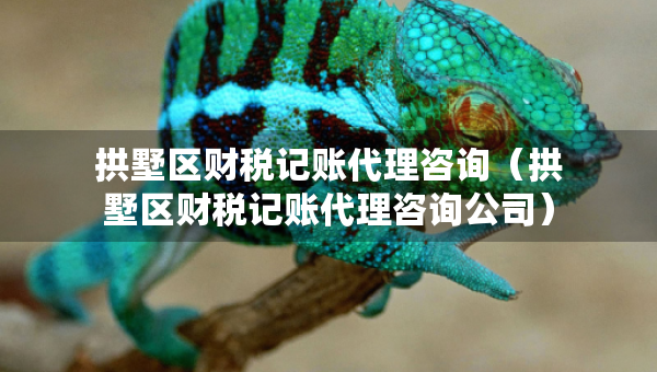 拱墅区财税记账代理咨询（拱墅区财税记账代理咨询公司）