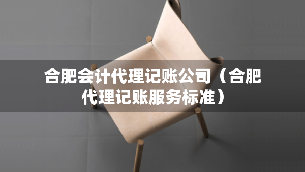 合肥会计代理记账公司（合肥代理记账服务标准）