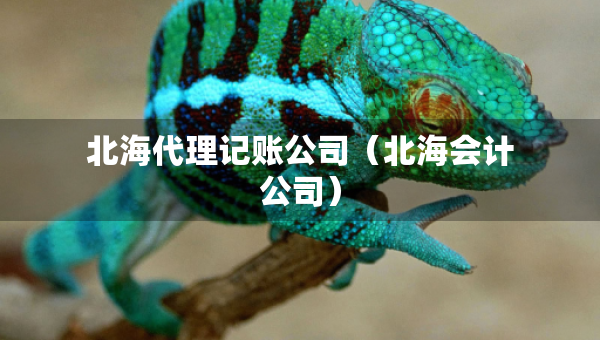 北海代理记账公司（北海会计公司）