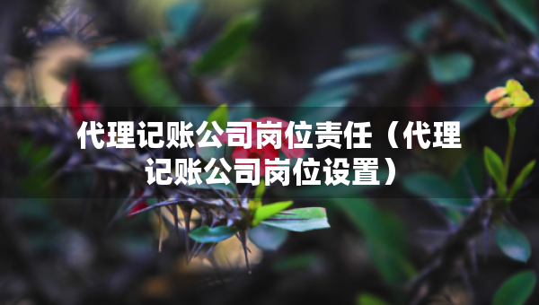 代理记账公司岗位责任（代理记账公司岗位设置）