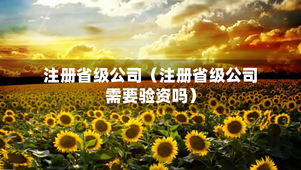 注册省级公司（注册省级公司需要验资吗）