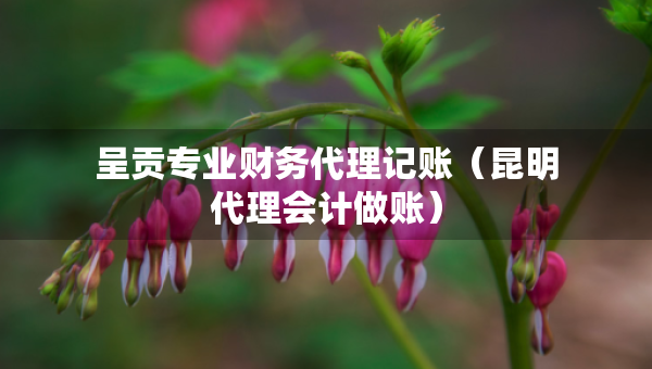 呈贡专业财务代理记账（昆明代理会计做账）