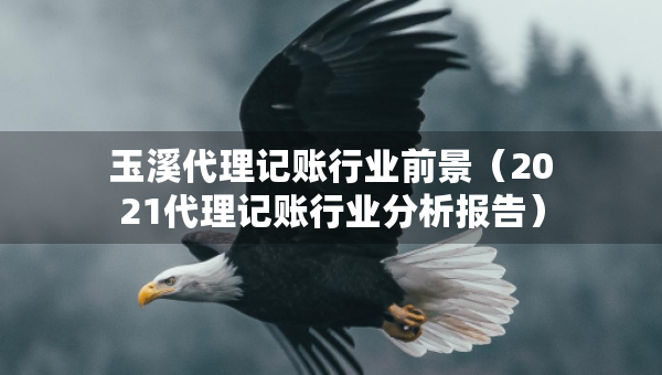 玉溪代理记账行业前景（2021代理记账行业分析报告）