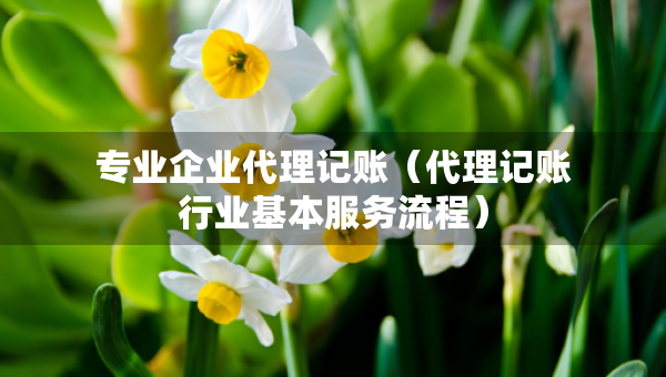 专业企业代理记账（代理记账行业基本服务流程）