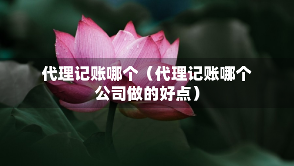 代理记账哪个（代理记账哪个公司做的好点）