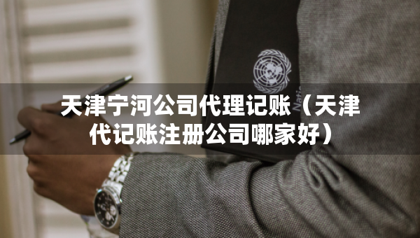 天津宁河公司代理记账（天津代记账注册公司哪家好）