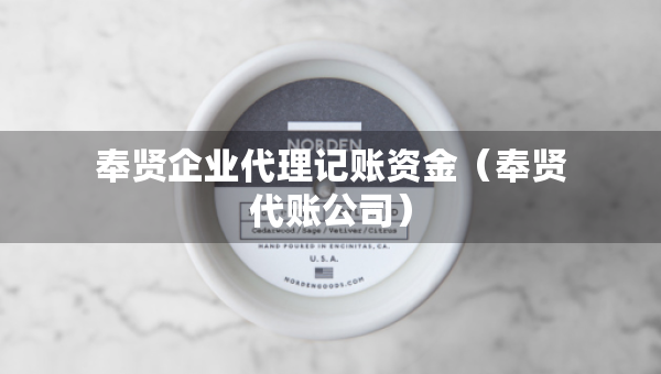 奉贤企业代理记账资金（奉贤代账公司）