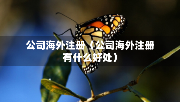 公司海外注册（公司海外注册有什么好处）