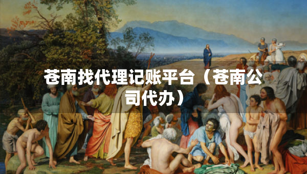 苍南找代理记账平台（苍南公司代办）