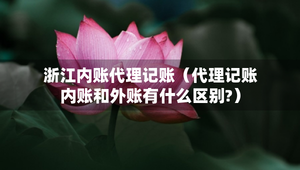 浙江内账代理记账（代理记账内账和外账有什么区别?）