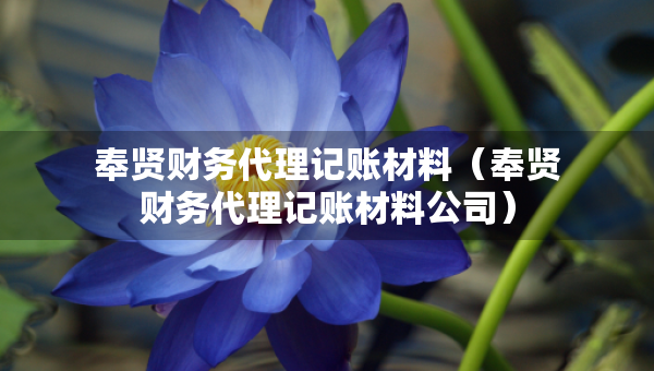奉贤财务代理记账材料（奉贤财务代理记账材料公司）