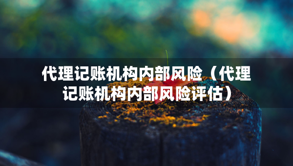 代理记账机构内部风险（代理记账机构内部风险评估）