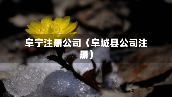 阜宁注册公司（阜城县公司注册）