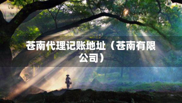 苍南代理记账地址（苍南有限公司）