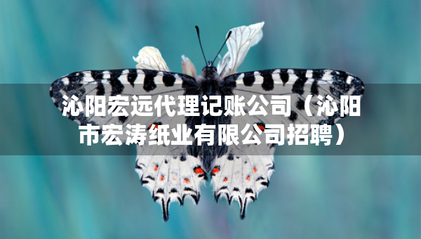 沁阳宏远代理记账公司（沁阳市宏涛纸业有限公司招聘）