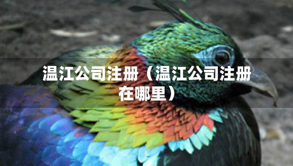 温江公司注册（温江公司注册在哪里）