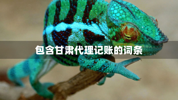 包含甘肃代理记账的词条