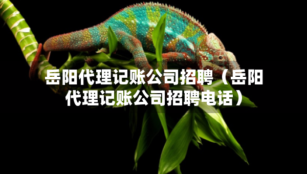 岳阳代理记账公司招聘（岳阳代理记账公司招聘电话）