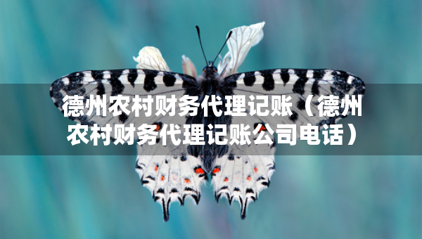 德州农村财务代理记账（德州农村财务代理记账公司电话）