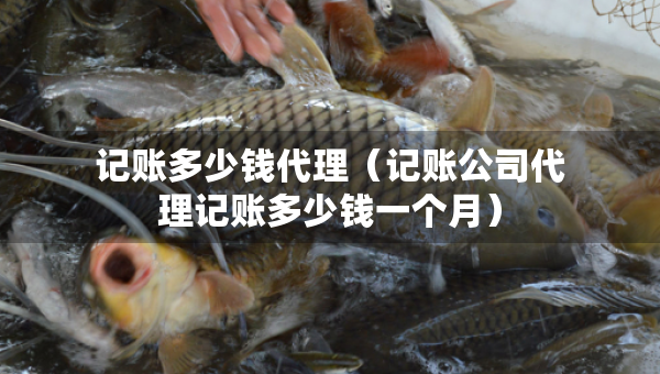 记账多少钱代理（记账公司代理记账多少钱一个月）
