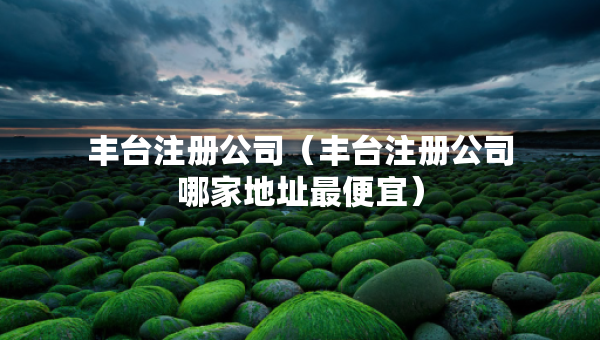丰台注册公司（丰台注册公司哪家地址最便宜）