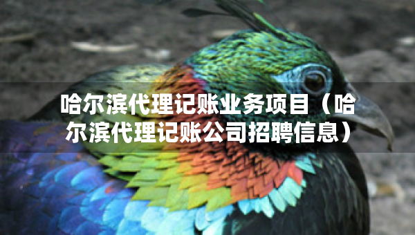 哈尔滨代理记账业务项目（哈尔滨代理记账公司招聘信息）