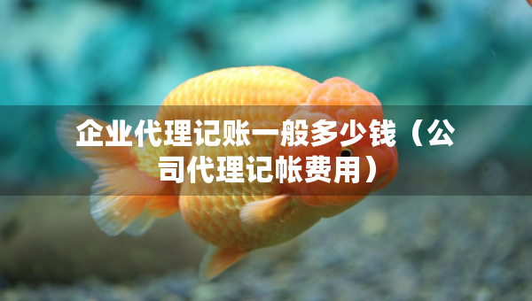 企业代理记账一般多少钱（公司代理记帐费用）