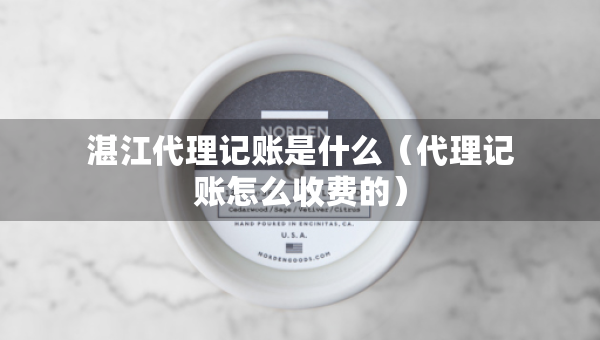 湛江代理记账是什么(代理记账怎么收费的) 湛江代理记账是什么(代理记账怎么收费的)