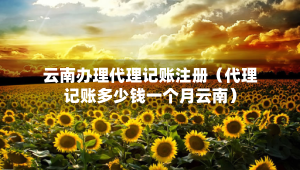 云南办理代理记账注册（代理记账多少钱一个月云南）