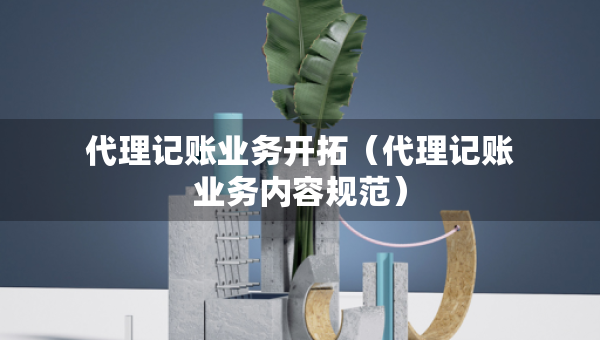 代理记账业务开拓（代理记账业务内容规范）