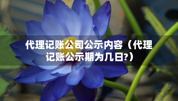 代理记账公司公示内容（代理记账公示期为几日?）