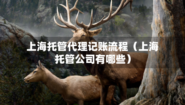 上海托管代理记账流程（上海托管公司有哪些）