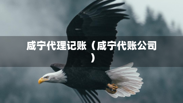 咸宁代理记账（咸宁代账公司）