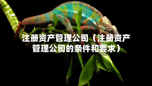 注册资产管理公司（注册资产管理公司的条件和要求）