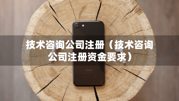技术咨询公司注册（技术咨询公司注册资金要求）