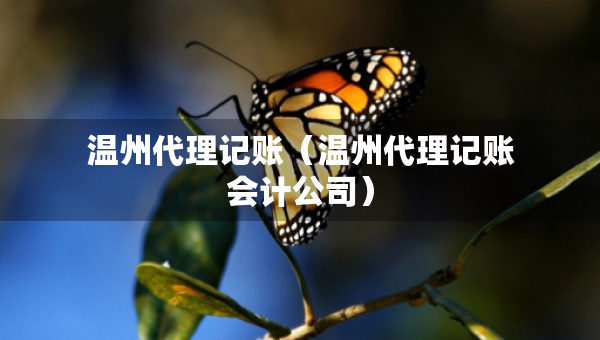 温州代理记账（温州代理记账会计公司）