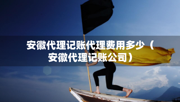 安徽代理记账代理费用多少（安徽代理记账公司）