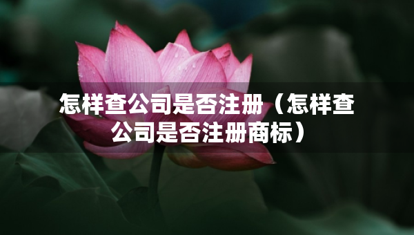 怎样查公司是否注册（怎样查公司是否注册商标）