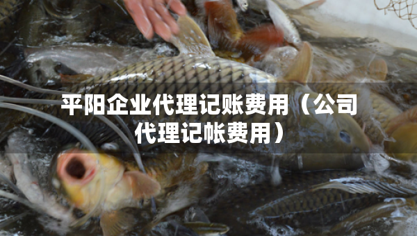 平阳企业代理记账费用（公司代理记帐费用）