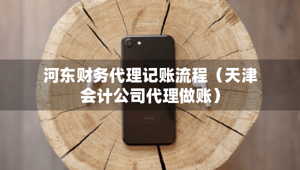 河东财务代理记账流程（天津会计公司代理做账）