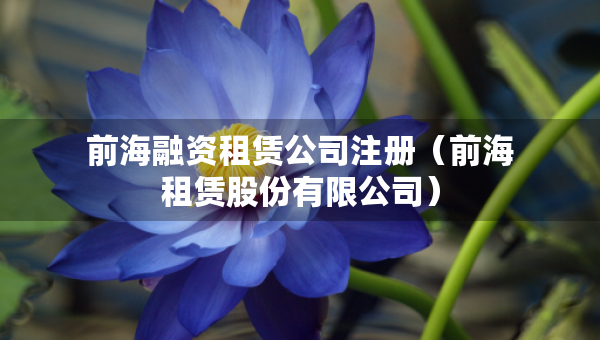 前海融资租赁公司注册（前海租赁股份有限公司）