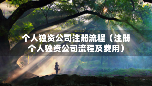 个人独资公司注册流程（注册个人独资公司流程及费用）