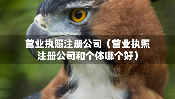 营业执照注册公司（营业执照注册公司和个体哪个好）