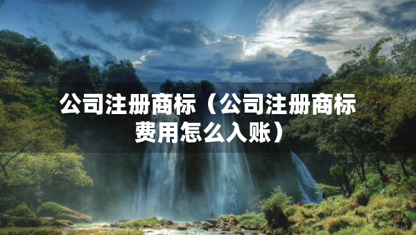 公司注册商标（公司注册商标费用怎么入账）