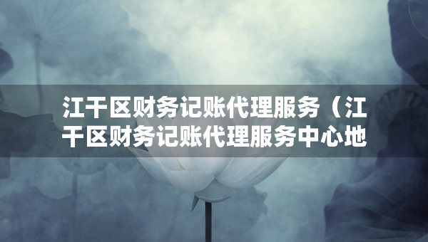 江干区财务记账代理服务（江干区财务记账代理服务中心地址）