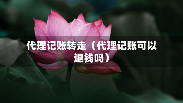 代理记账转走（代理记账可以退钱吗）