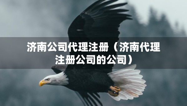 济南公司代理注册（济南代理注册公司的公司）