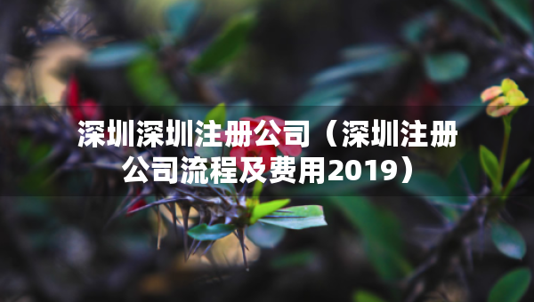 深圳深圳注册公司（深圳注册公司流程及费用2019）