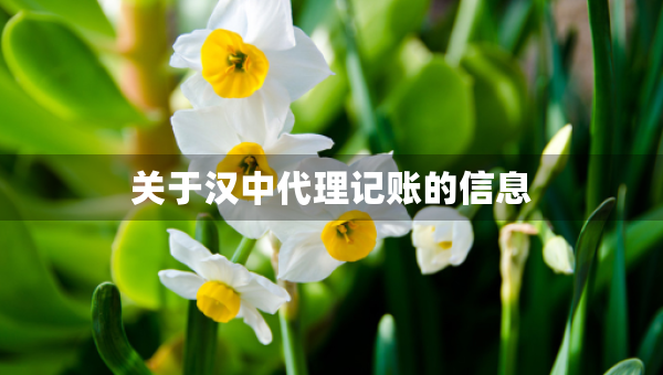 关于汉中代理记账的信息