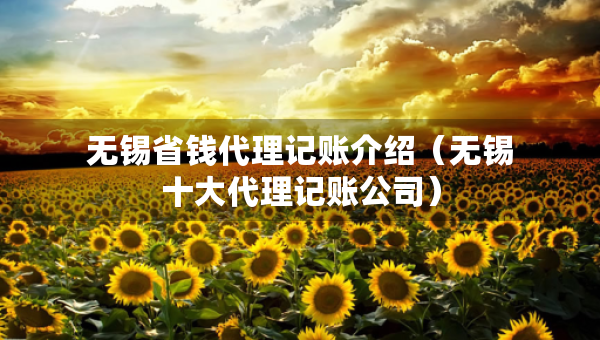 无锡省钱代理记账介绍（无锡十大代理记账公司）